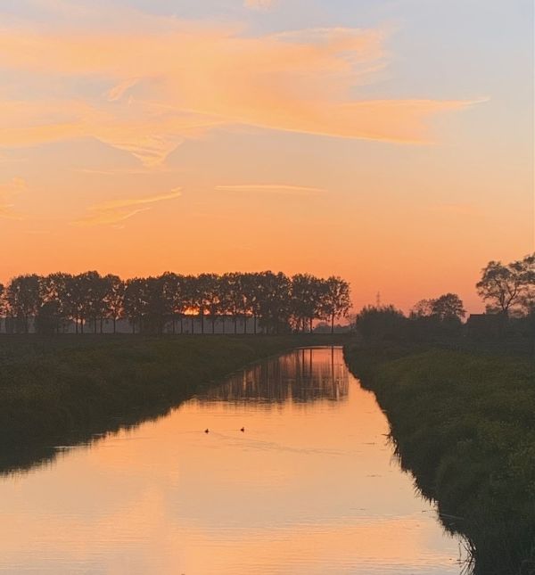 Kanaal bij zonsondergang met eenden