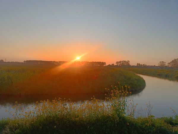 Zonsondergang over veld en water